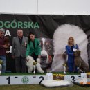 pieski2 150